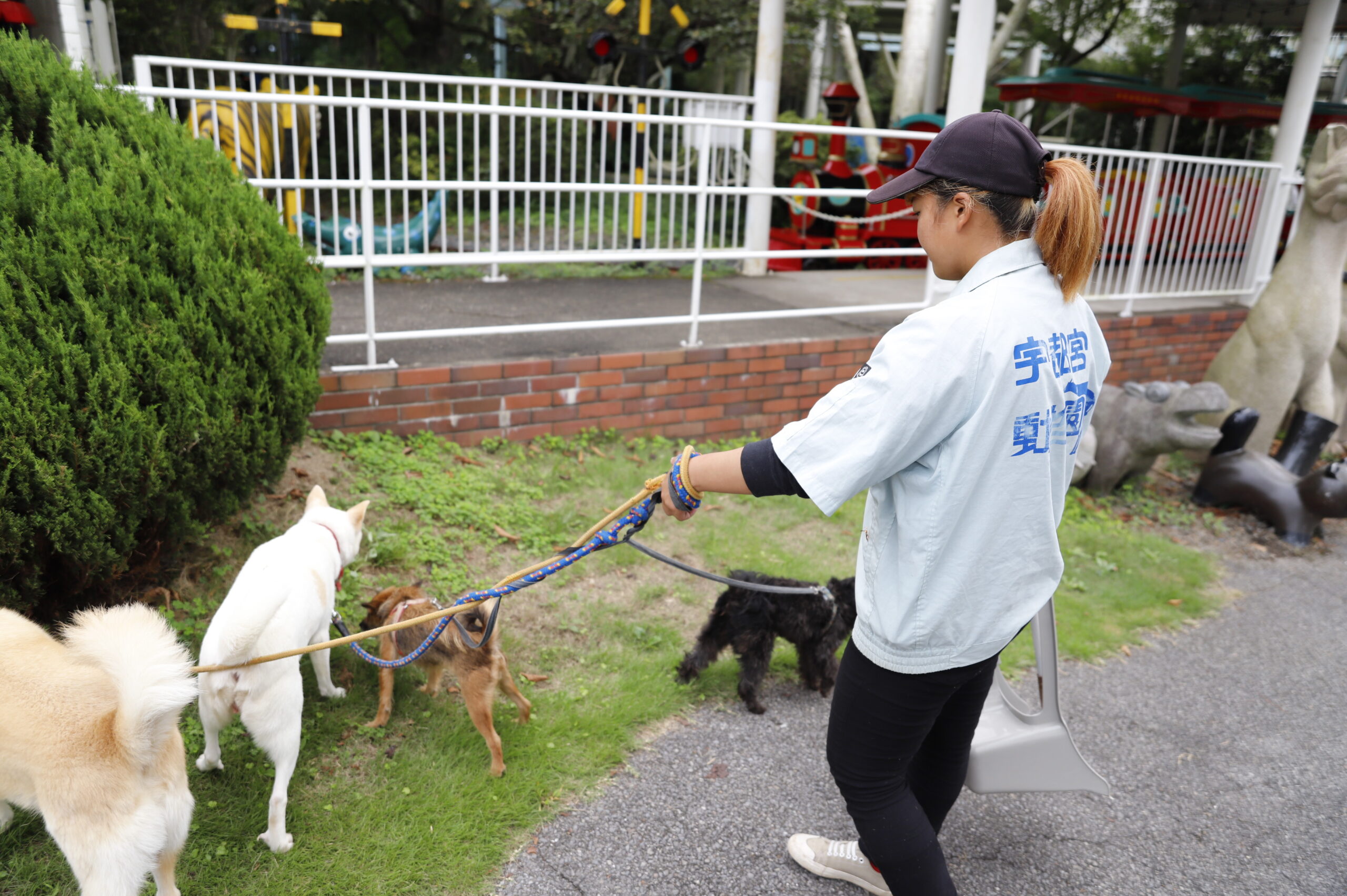 散歩をする飼育員